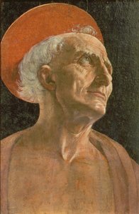 Saint Jérôme - Antonio Pollaiuolo